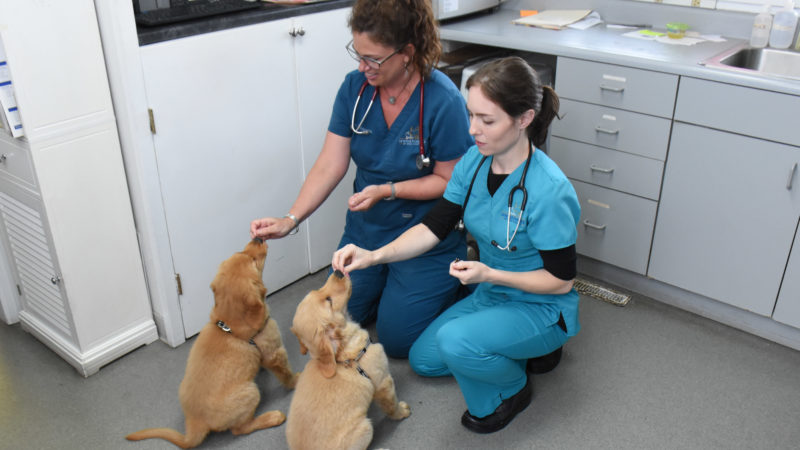 November 2018 Around Town